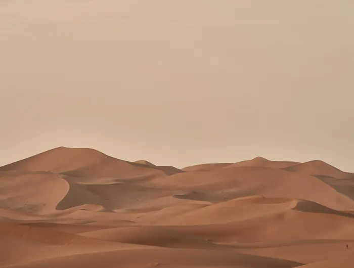 Wind-shaped sand dunes under a soft peach sky
